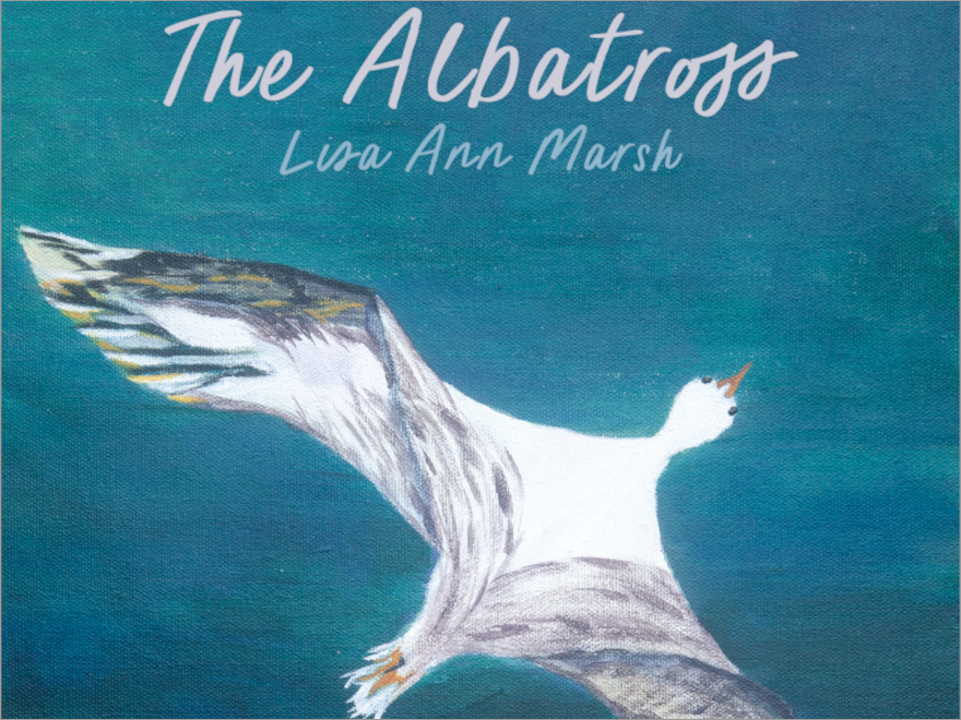 The Albatross